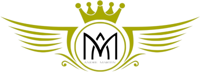 Logo MARTIN VTC LE MANS, chauffeur privé en Sarthe
